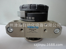 DSRL-10-180-P-FW ȫ��FESTOҶƬʽ�ڶ�����33296