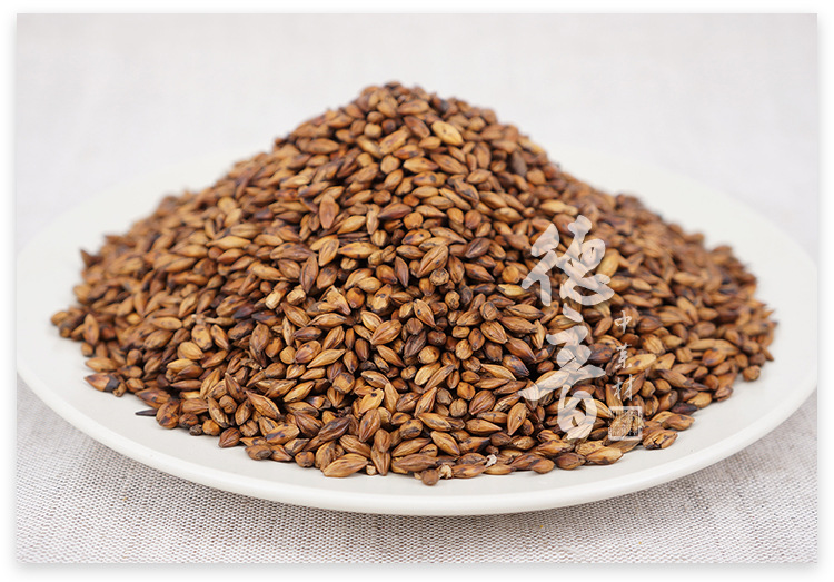Barley Tea Da Mai Cha 500g Roasted Barley Grains for Brewing and Culinary Use quality and texture