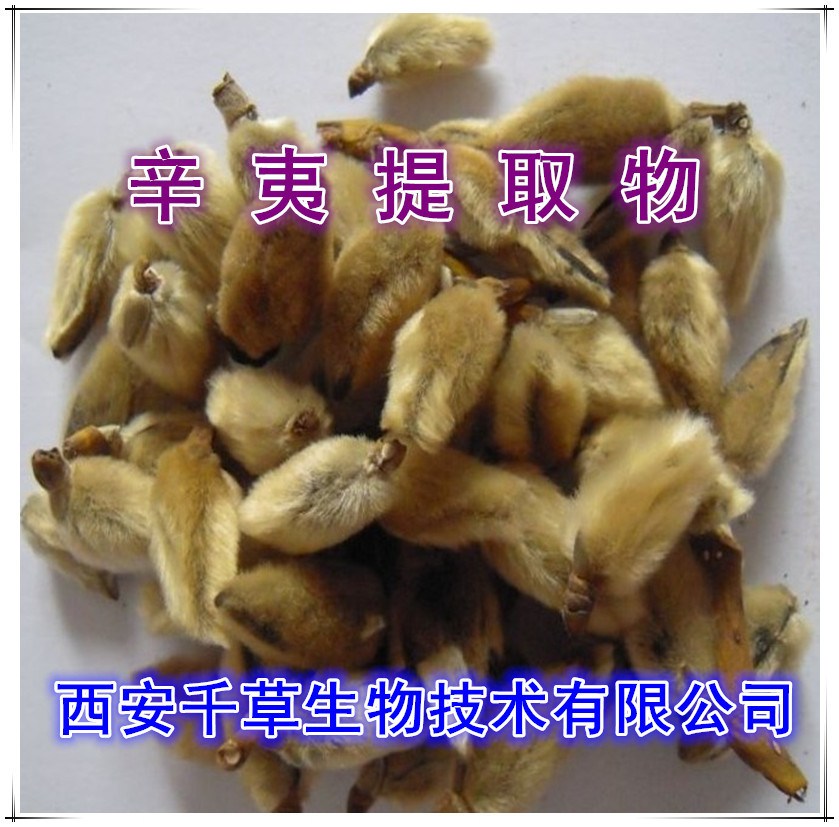 辛夷提取物