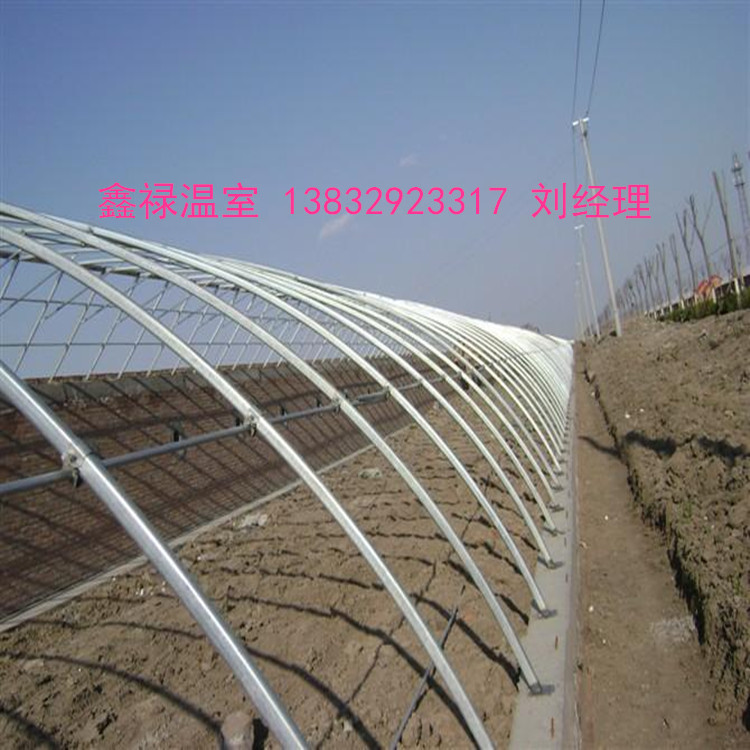20fb646ff40ba2be89087c9ce3583c