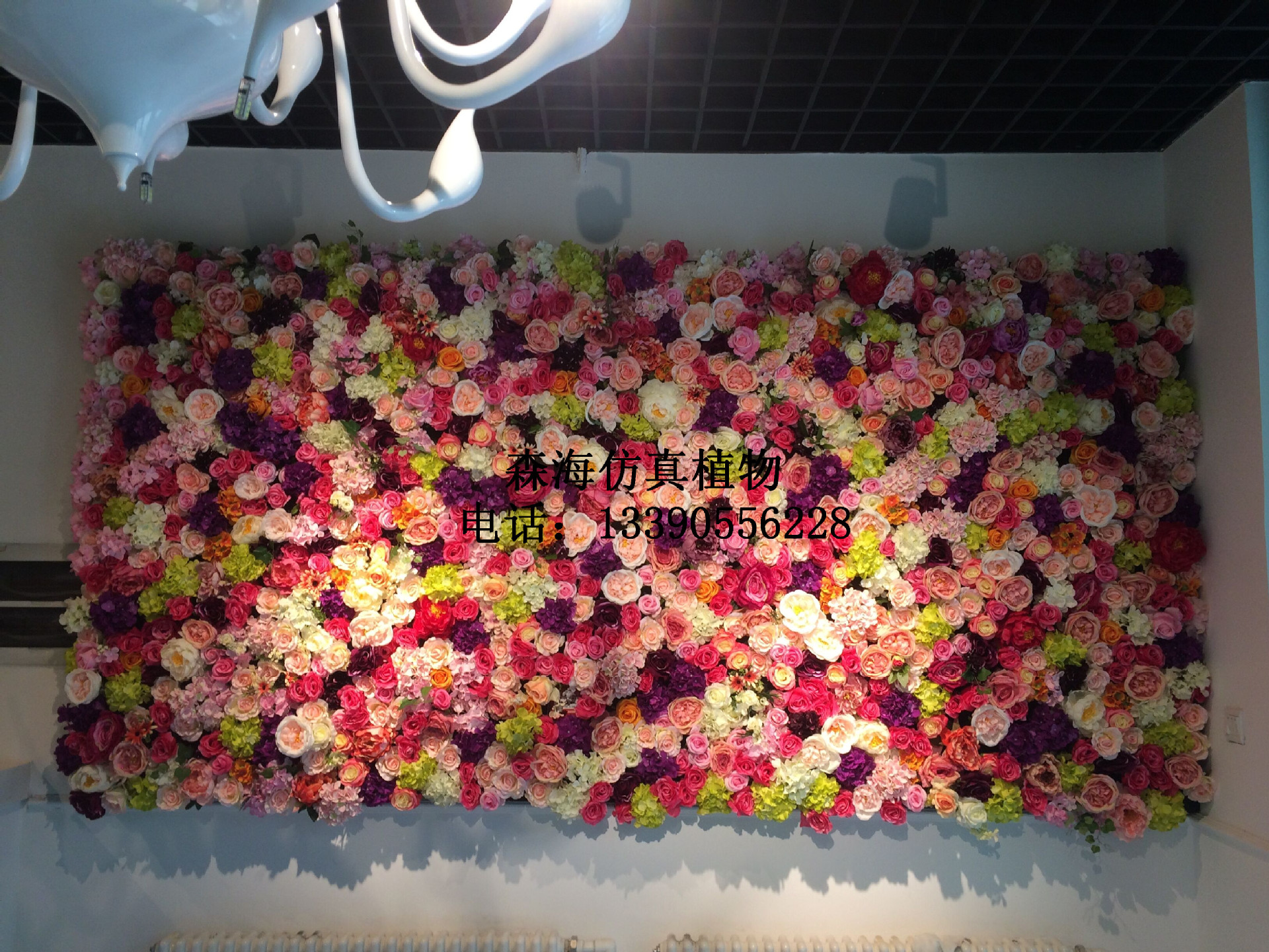 QQ图片20160531131341