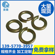 �S�����]��ƽ���| �ǘ˽���ƽ�|���|Ȧ�|