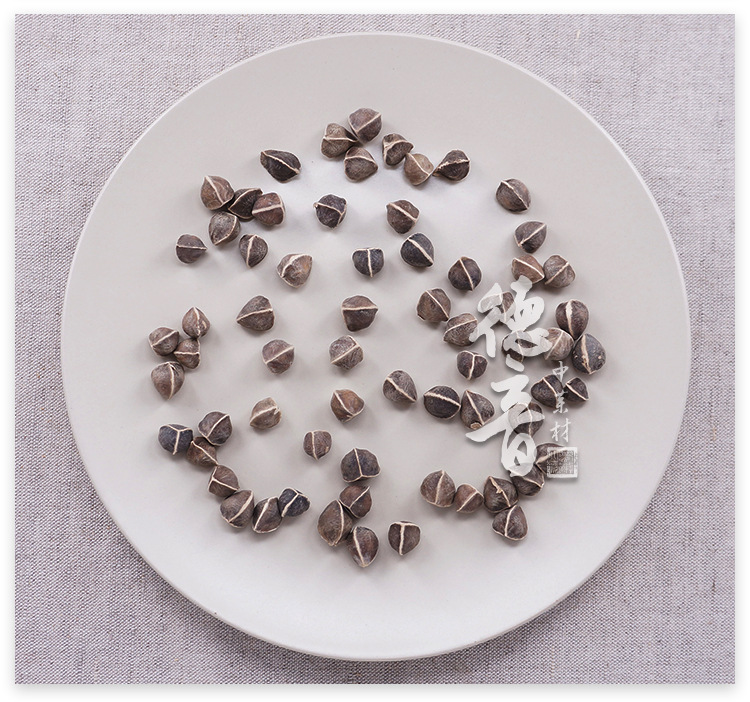 Moringa Seeds La Mu Zi Large Dark Whole Seeds Traditional Herbal Snack Sealed Bag quality and texture