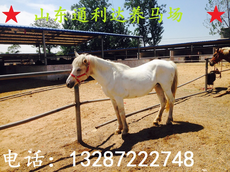 QQ图片20160521112815