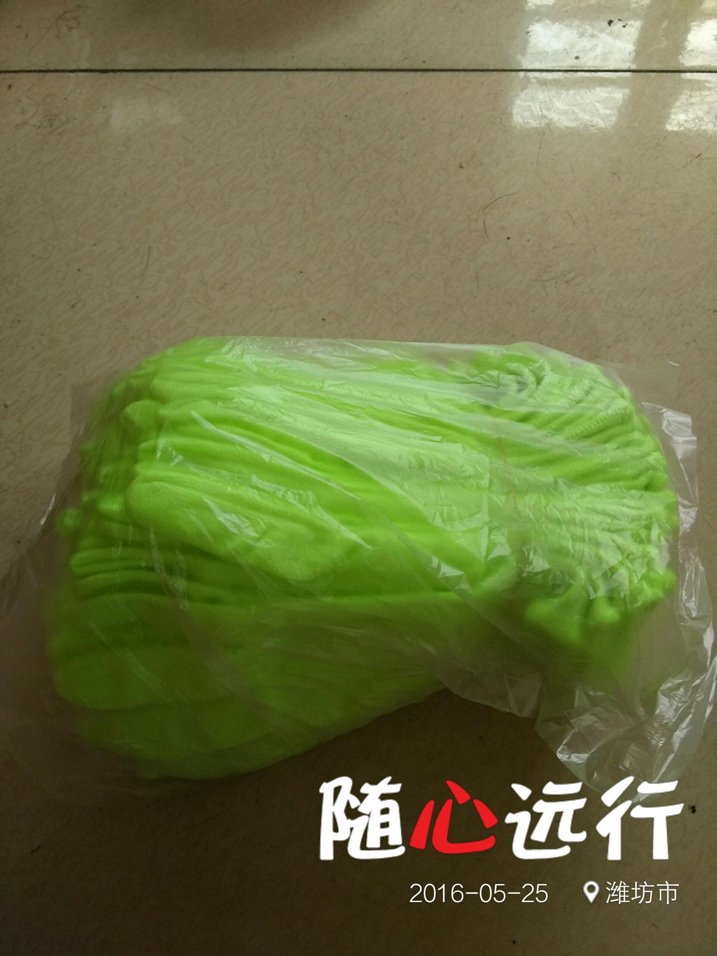 IMG_20160525_124406(1)