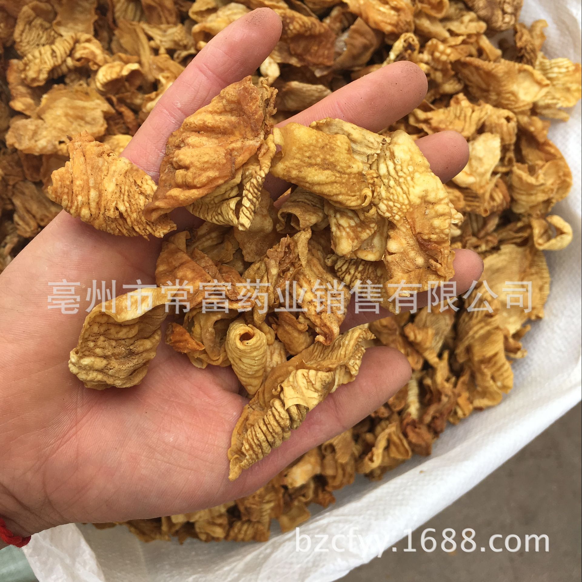 Chicken Gizzard Membrane Powder Ji Nei Jin 500g Traditional Herbal Supplement for Digestive Wellness in use