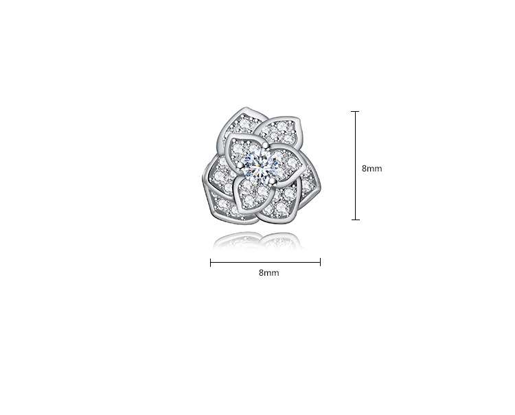 Jinse Appelliert An Stahl Nadeln, Ohrringe, Koreanische Xiaoqing, Frische Blumen, Persönlichkeit, Aaa-zirkon display picture 2