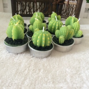 �S�����l����ֲ�����Ϟ�T���������������Ք[�OϞ�T