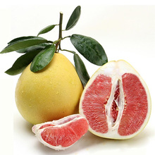 一斤红心柚子价格_最新一斤红心柚子价格\/批发