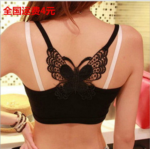 Korean Version Versatile Summer Lace Butterfly Bow Bralette Strappy Base Wrap Bra Modal Fabric Small Strappy Bra