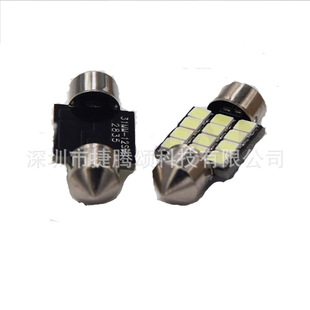 31/39/42mm double tip -12 lamp -2835 white light DC12V
