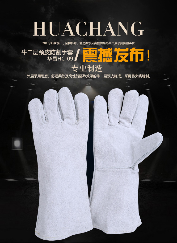 HC-09_01