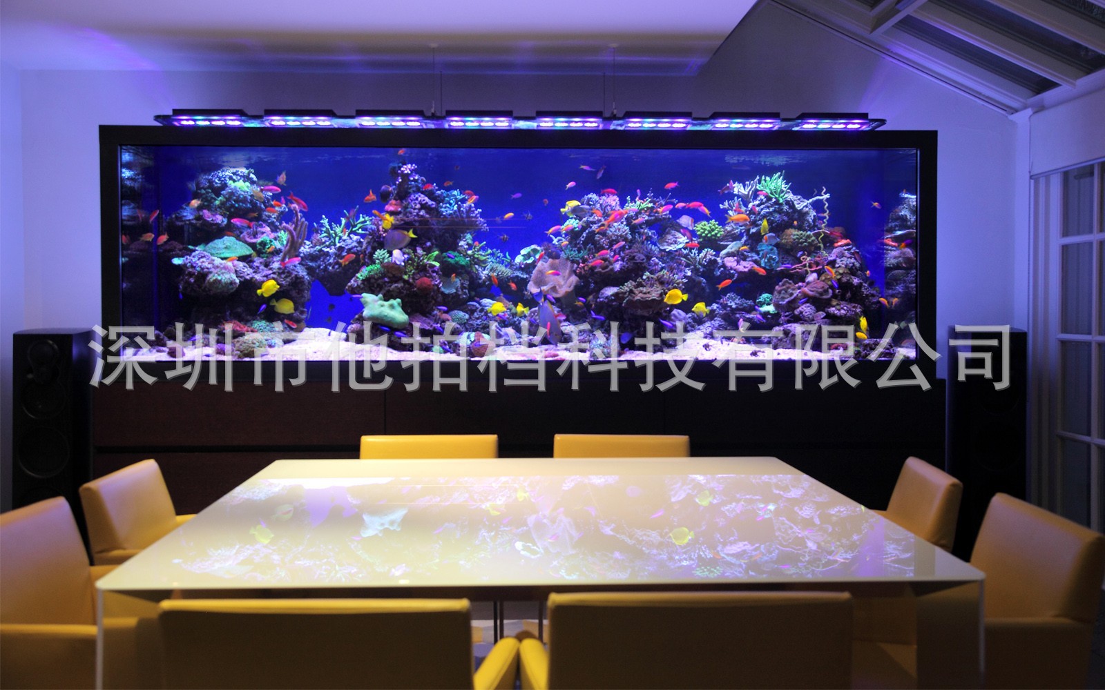 aquarium-architecture-luxury-l