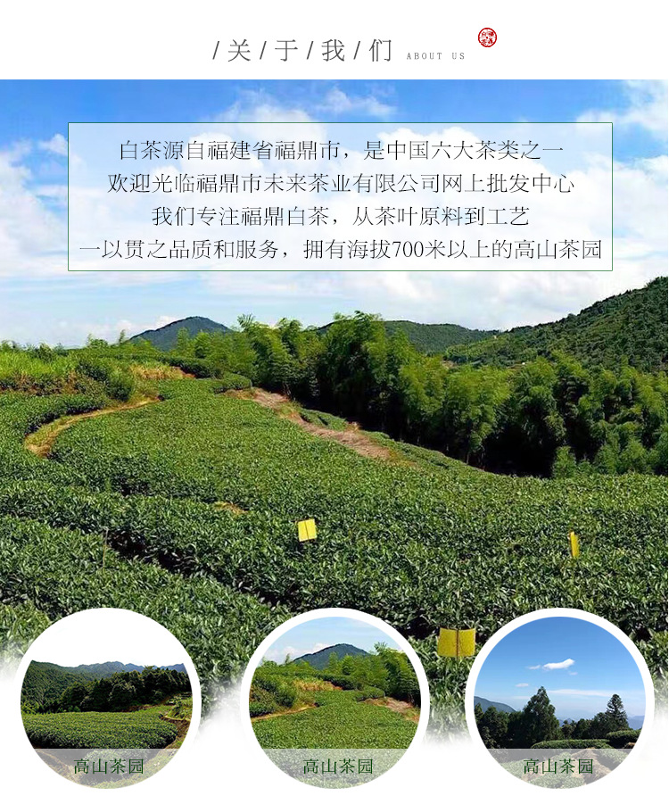 关于我们-1
