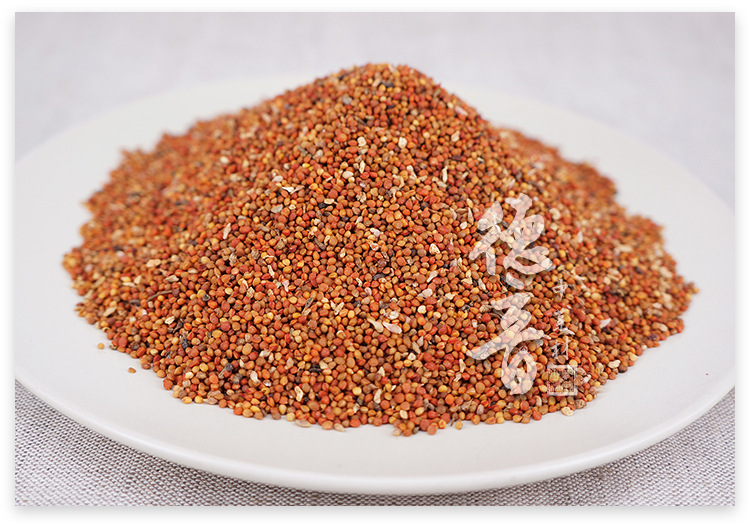 Chu Shi Zi Dried Broussonetia Fruit 500g Sichuan Origin Traditional Chinese Herb for Culinary Use quality and texture