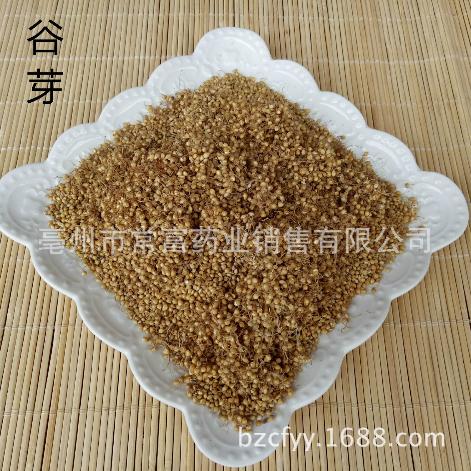 Dried Setaria Sprouted Grain Gu Ya 谷芽 Sprouted Millet Grain TCM Herbal Ingredient 500g in use