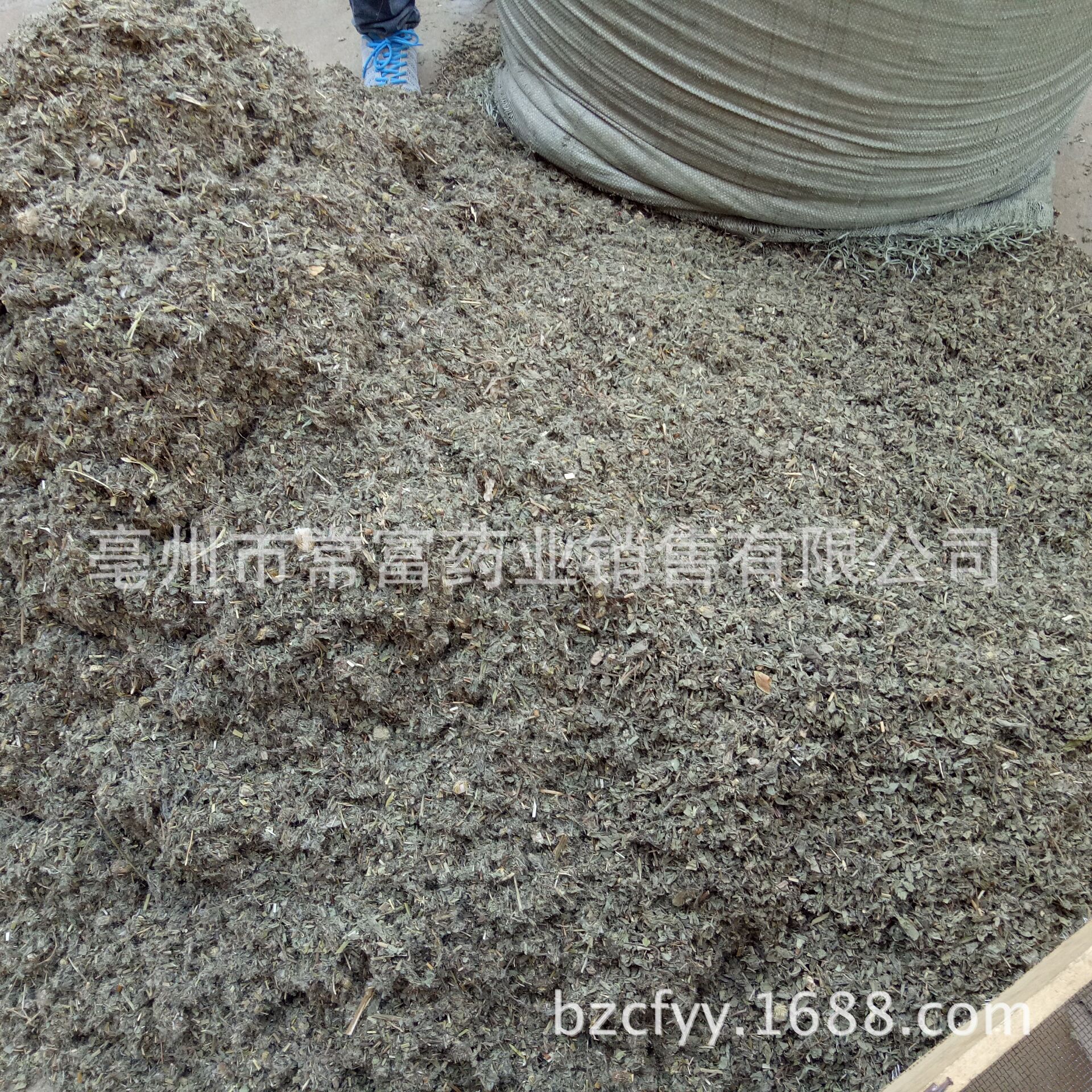 Dried Cirsium Herb Xiao Ji 小蓟 Sliced Chinese Herbal Tea Material 500g specifications