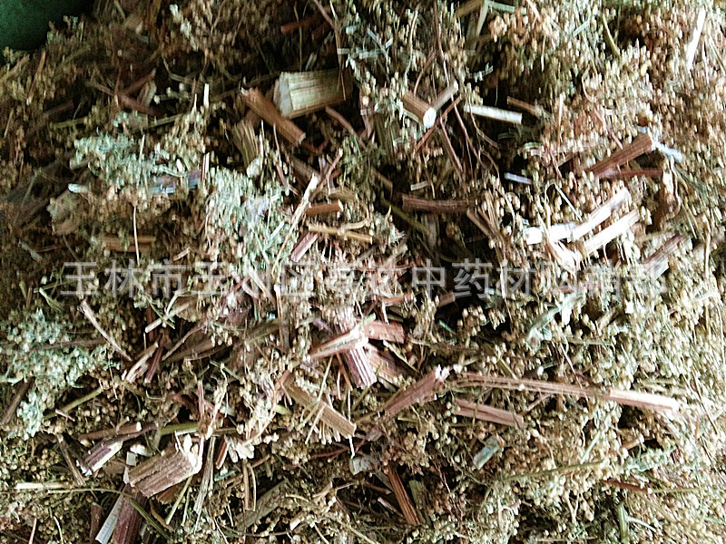 草类青蒿 桐臭蒿子香蒿 臭蒿 黄蒿 青高-阿里巴巴