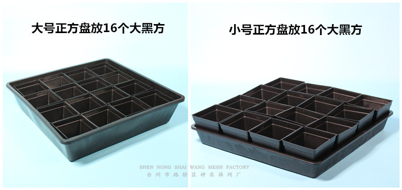 IMG_4151_副本5_副本