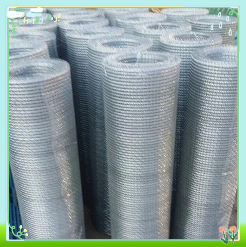 钢丝网 钢丝网轧花网 网片 润盈厂家