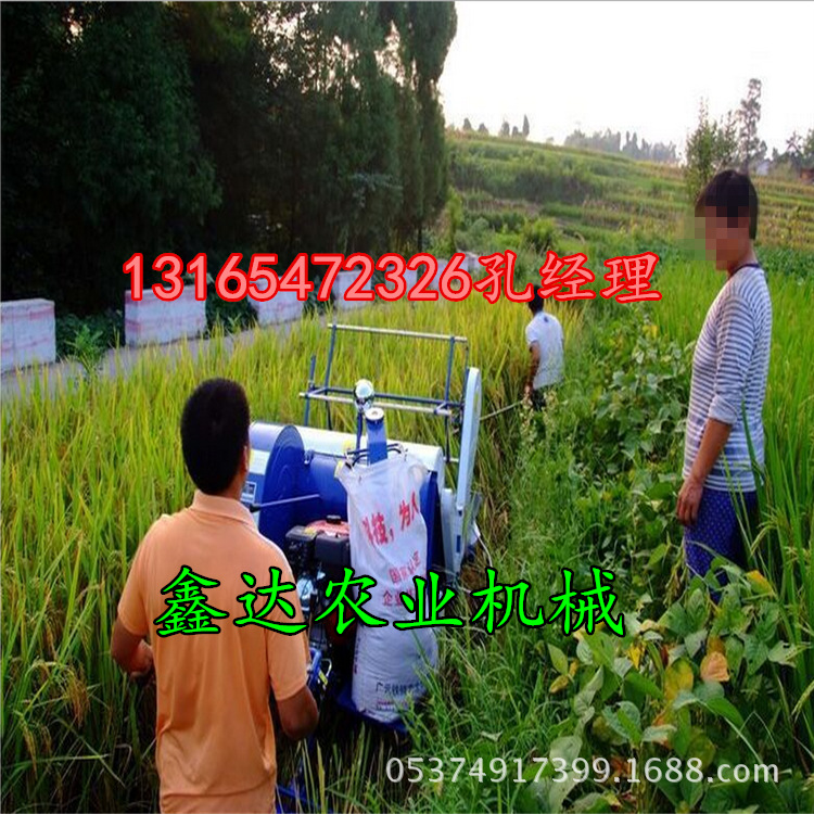 QQ图片6