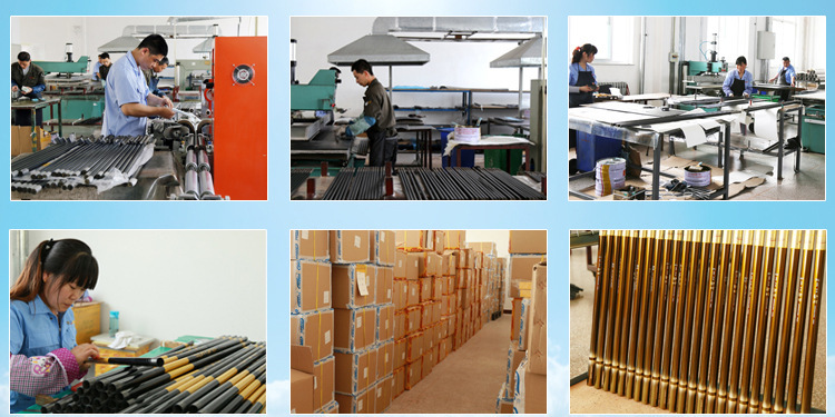 2303394880_722220131