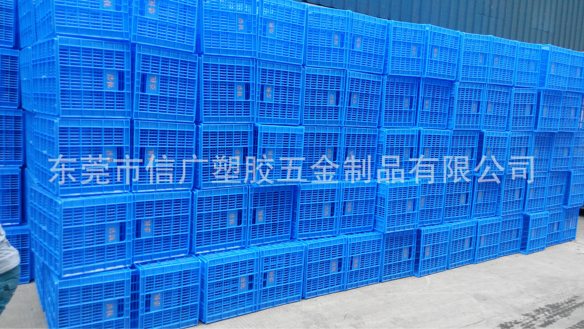 莆田水果采摘筐 龙岩塑胶周转箩 宁德蔬菜铁耳箩框 水果塑料箩