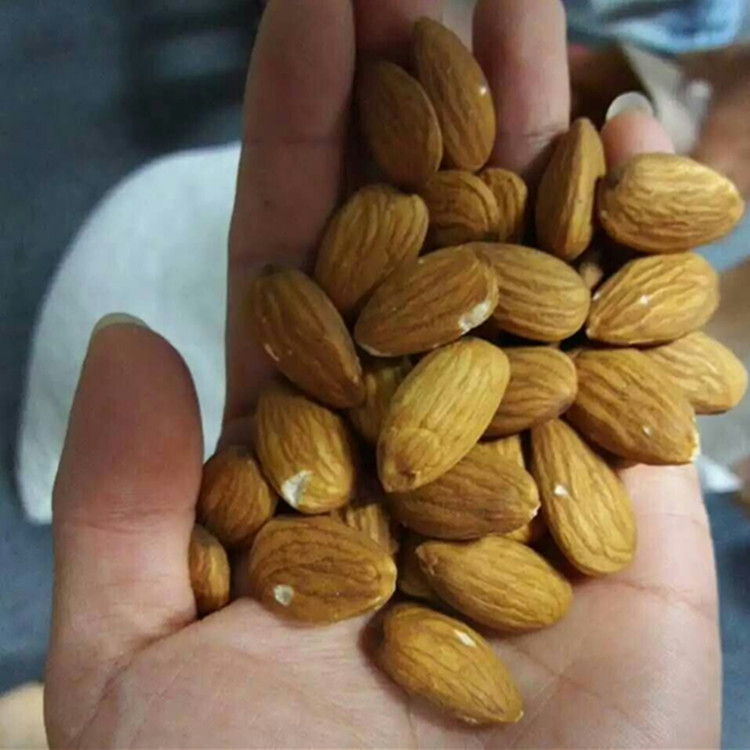 厂家货源散装休闲坚果食品原料美国巴旦木仁 扁桃仁烘焙装饰原料