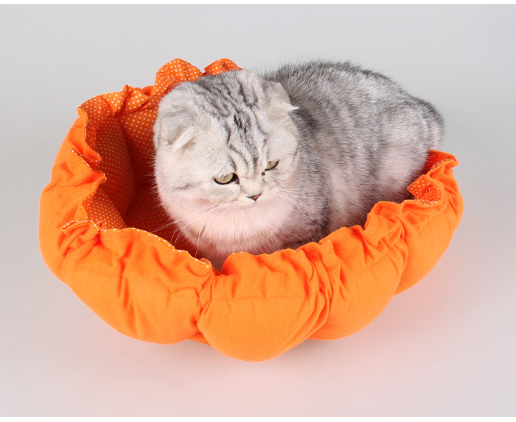 A065南瓜窝详情图_27