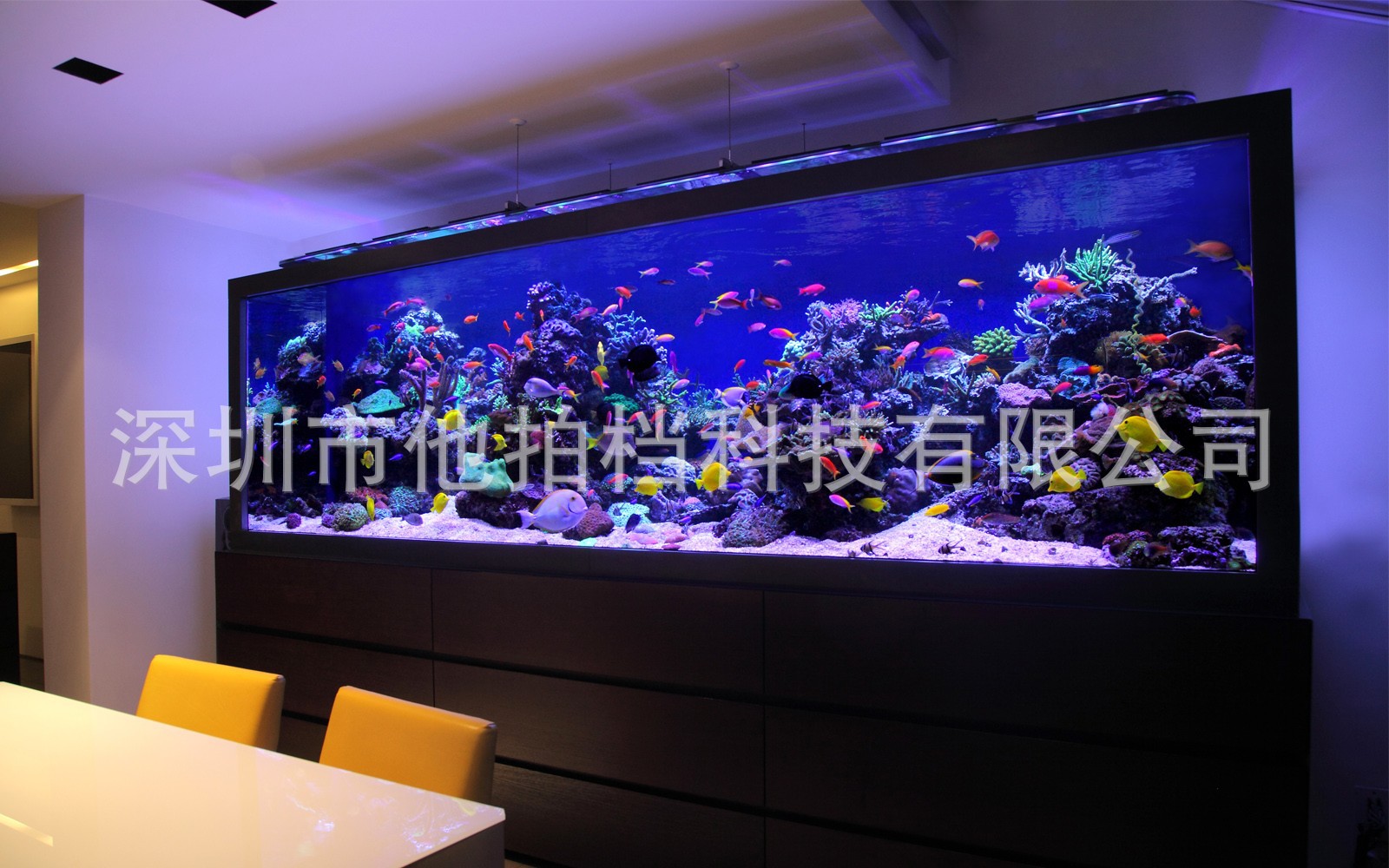 aquarium-architecture-luxury-l