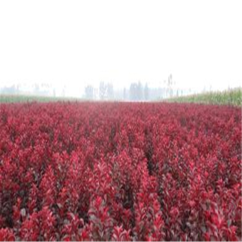 u=3311902023,3959010478&am