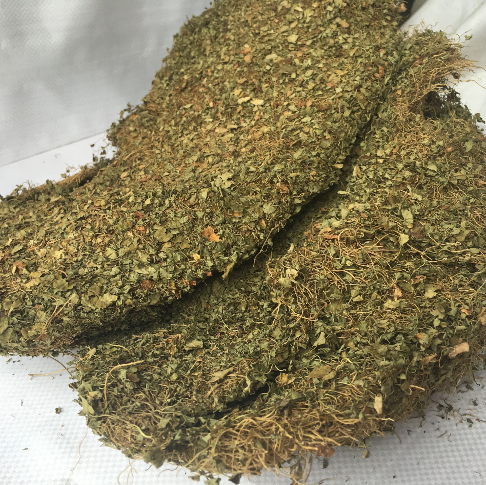 Dried Dichondra Herb Ma Ti Jin 500g Traditional Chinese Herbal Tea Ingredient overview