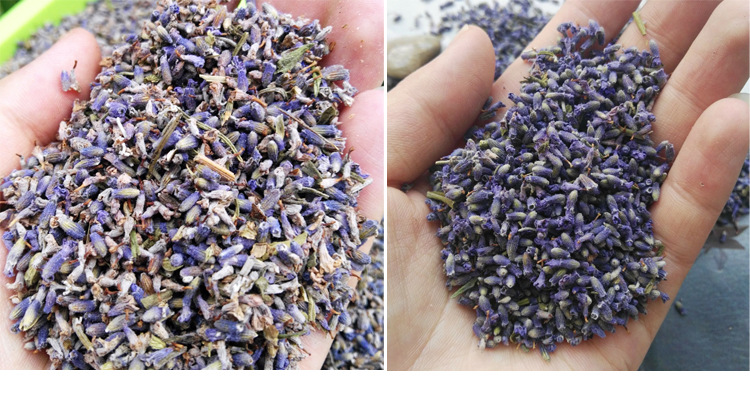 薰衣草等级区分2