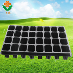 育苗盤蔬菜多肉芽苗菜平盤無孔林木加厚透明育苗穴盤廠家生產穴盤