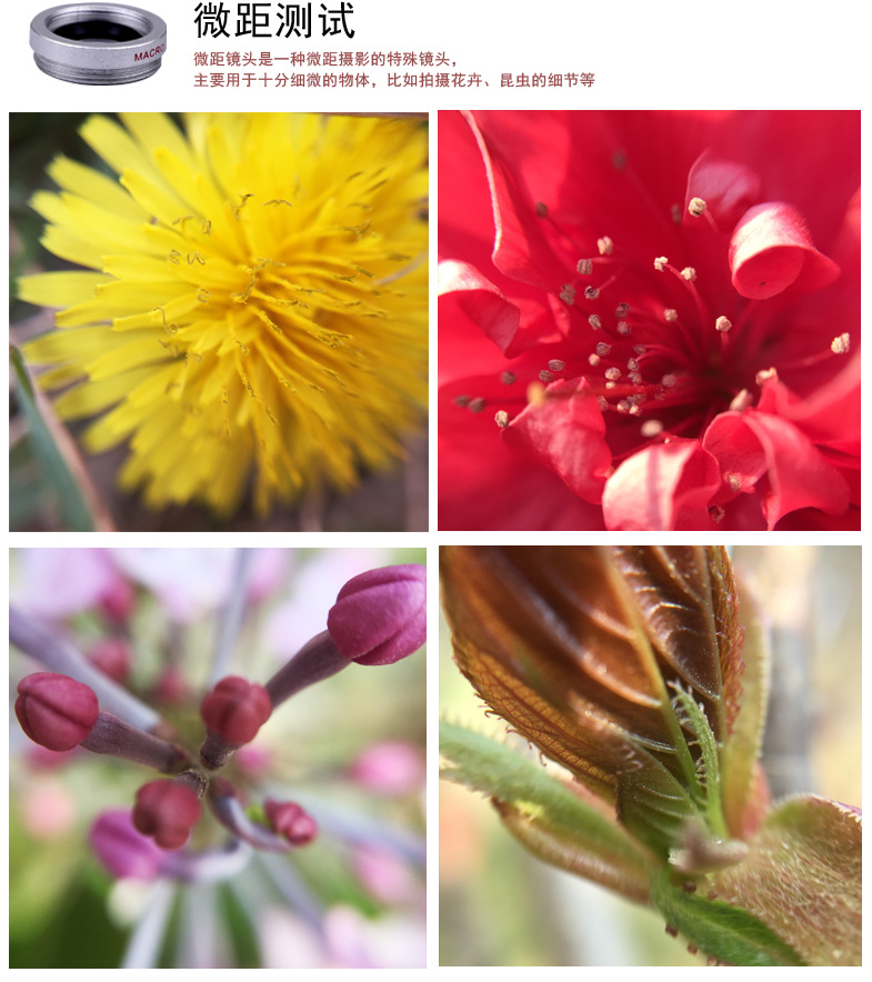 QQ图片20160530094544