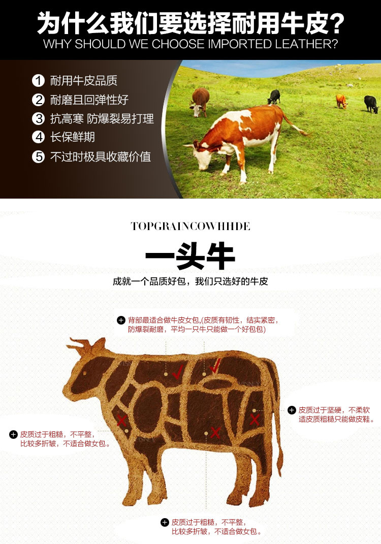 TB2v7cBlVXXXXXhXpXXXXXXXXXX_!!