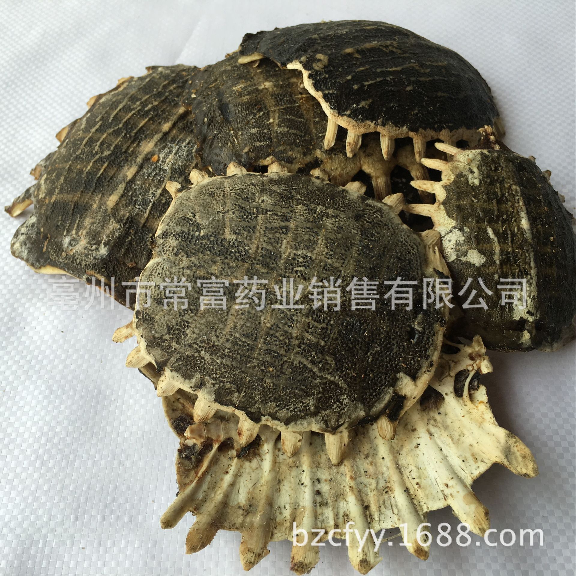 Dried Turtle Shell Bie Jia 500g Traditional Chinese Herb for Culinary Decoction Use quality and texture