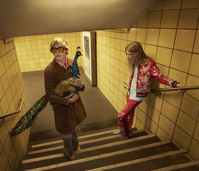 7351c2f1gw1ezpsyn73cgj21jk11a7