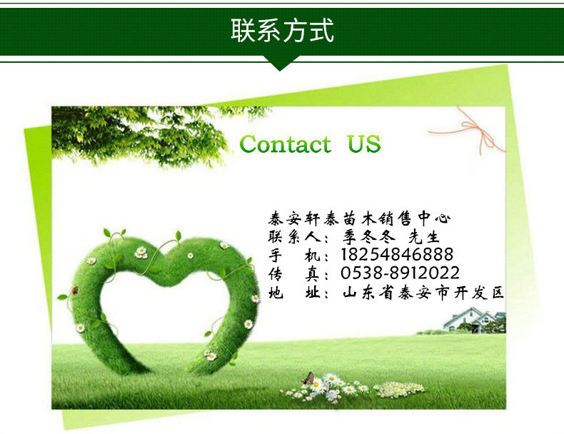 3159725754_1923533563