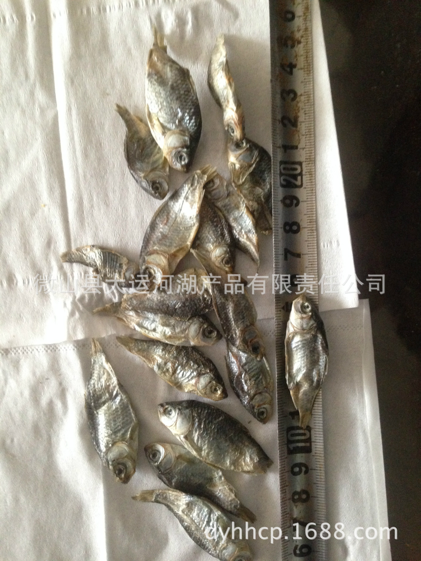 3-5cm乾鯽魚12元/千克
