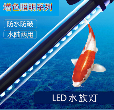 LED水中燈 潛水燈 魚缸燈 花園燈 L-18(長18CM) 6色選