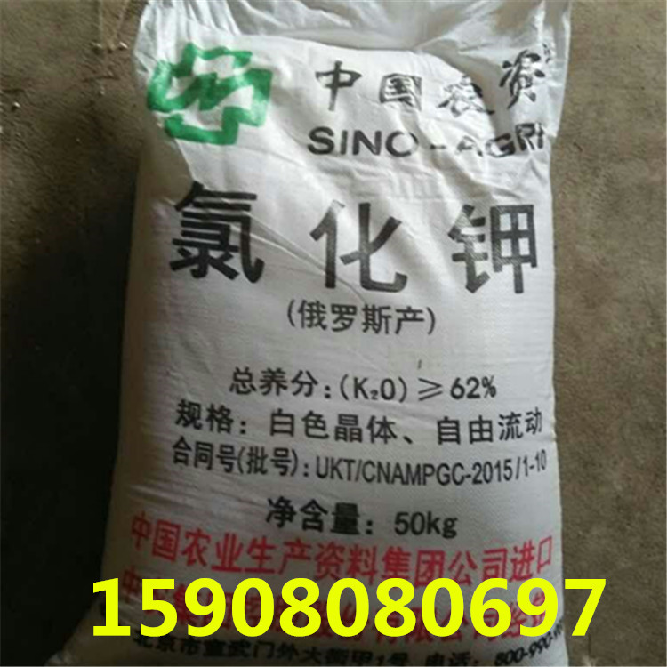 现货批发 俄罗斯农业级钾肥 农业级 氯化钾