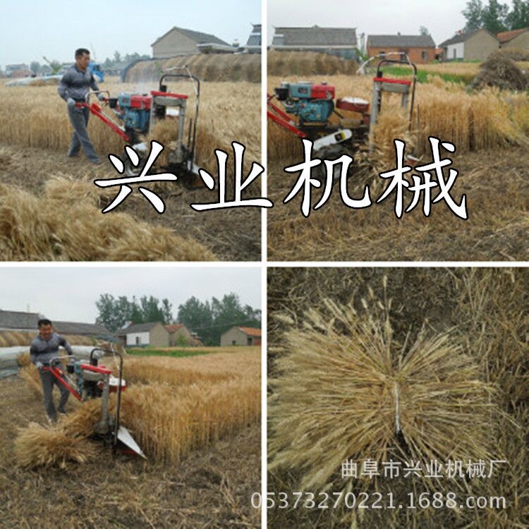 厂家直销玉米桔杆收割机 多功能辣椒收割机厂家