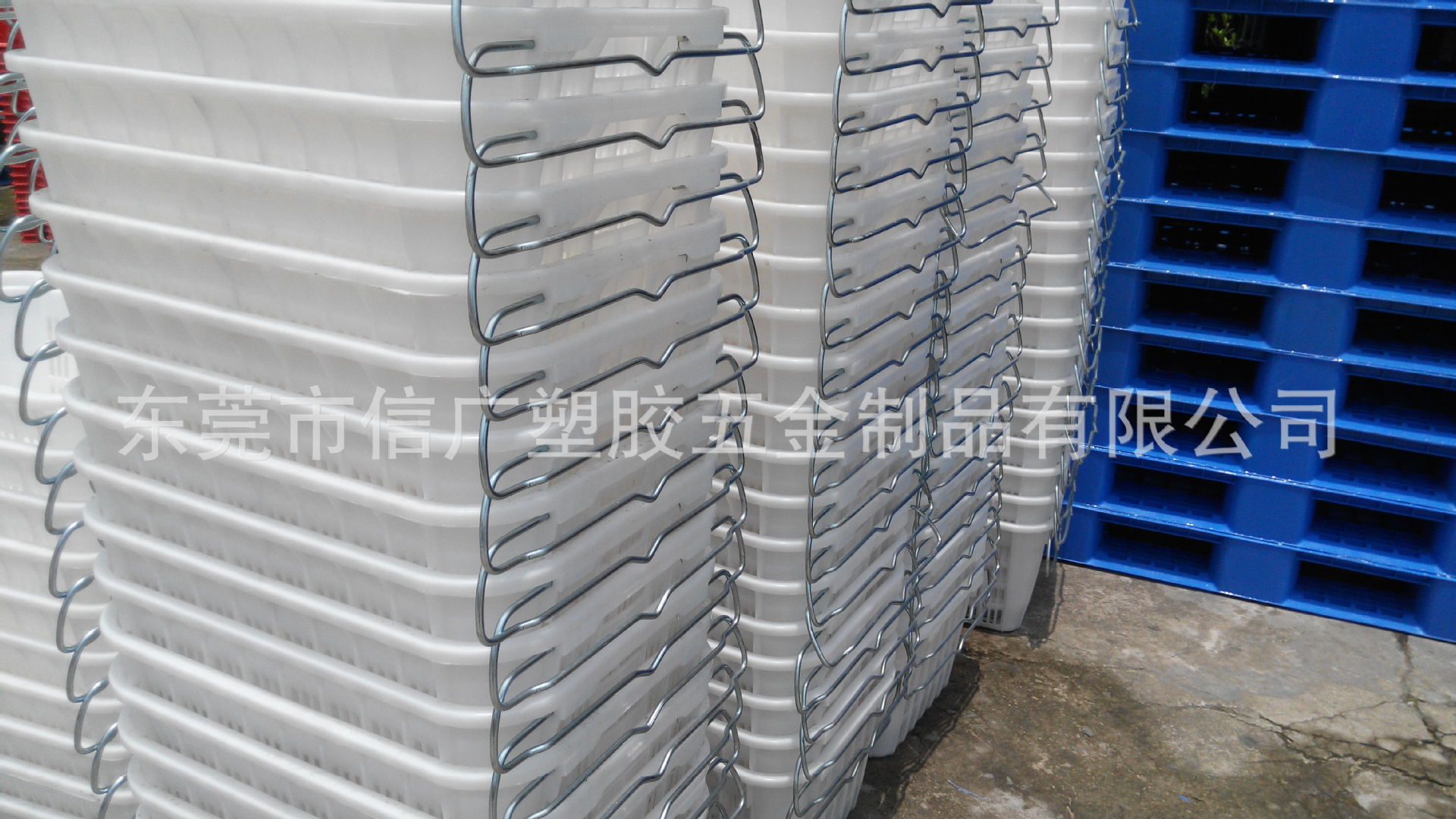 东莞塑料筐批发 大型蔬菜种植户 蔬菜筐采摘塑料框 蔬菜周转胶框