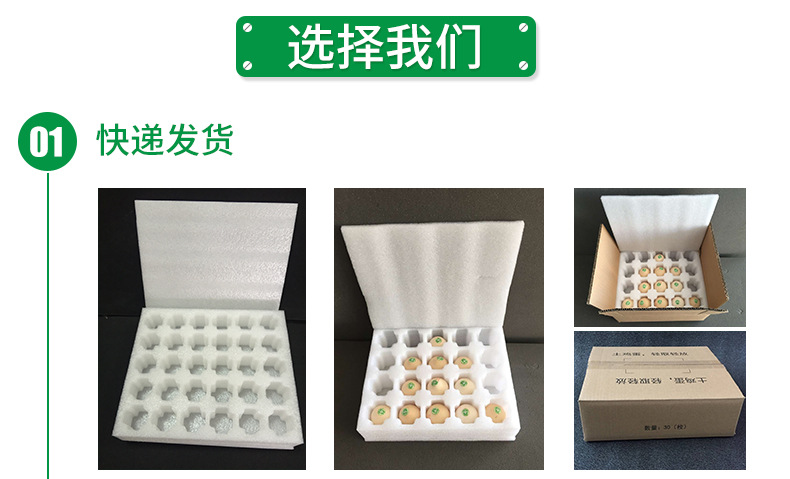 五周内页-陈艳青-林宜团_04