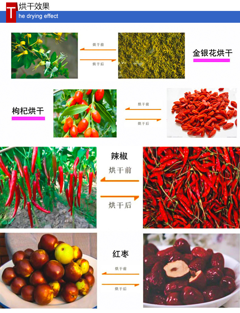 供应CT-C热风循环烘箱 中草药烘干箱 食品加工烘干箱 干燥设备厂家
