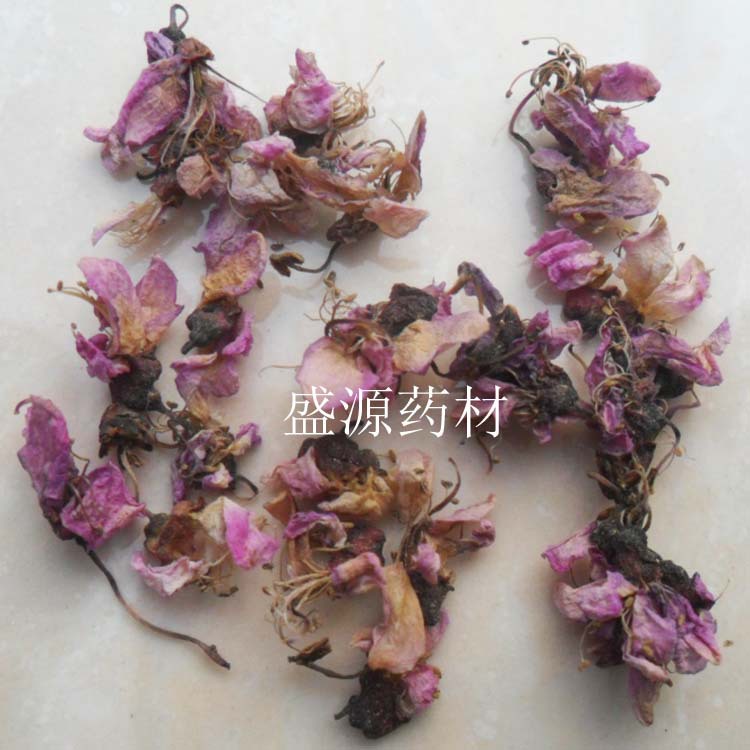 紫荆花4