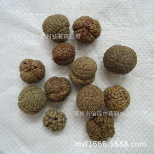 �����h����ș�����ϴ�ݶ�ޢ�ʲݿܲ�ޢ�ʺ��ϲݶ�ޢ���ϲݿ�����