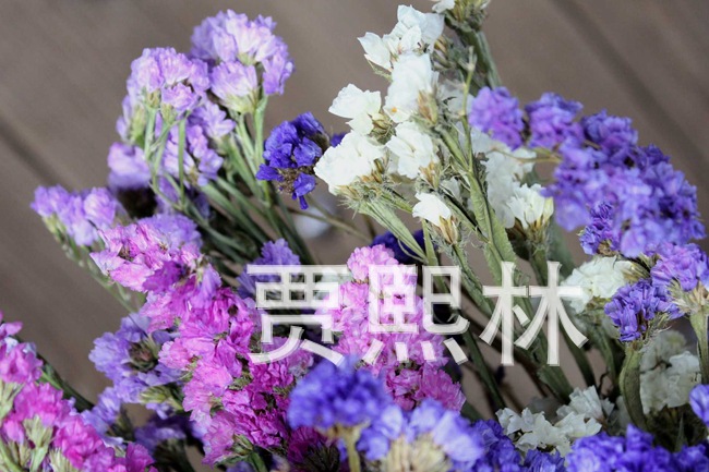 晒干花紫色勿忘我粉紫色黄色白色拍摄道具 阿里巴巴