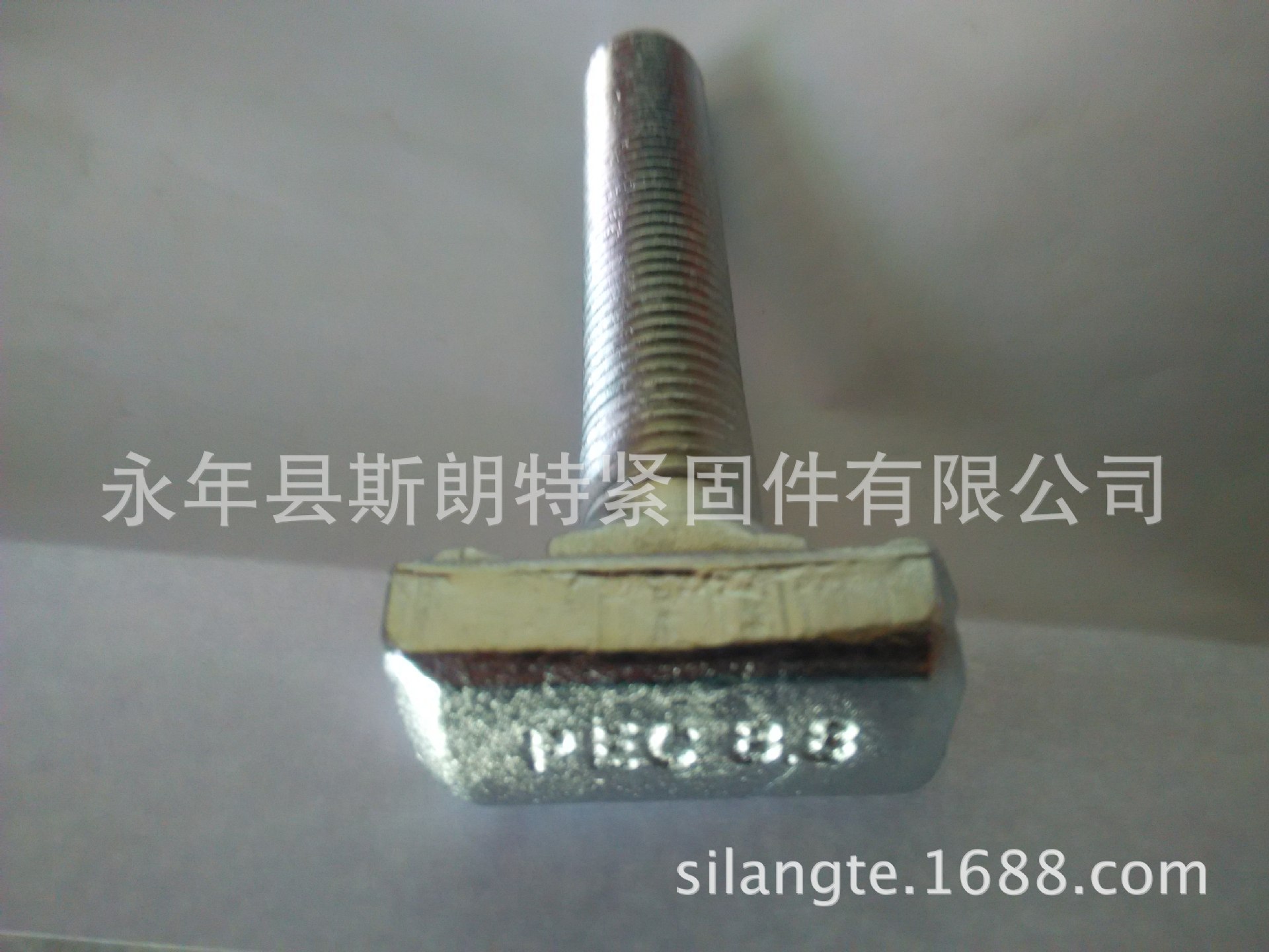 DIN188 T�ʹ����˨  DIN 1445 T����˨ T����˿ GB /T 158